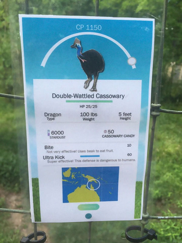 米動物園 園内に ポケモンgo 風の動物説明看板を作成 リセマム
