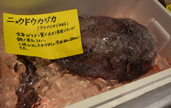 東大 さいえんす寿司barで考えた 今 空と海で起こっていること 8枚目の写真 画像 リセマム