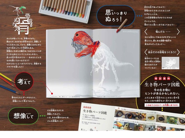 全国13博物館が協力 恐竜 骨ぬりえ ダイナソー小林監修 2枚目の写真 画像 リセマム