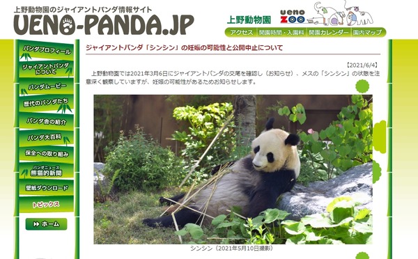 上野動物園パンダ「シンシン」2頭出産