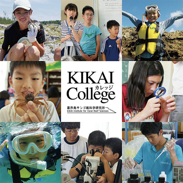 KIKAI collegeジュニアドクター制度、受講生募集