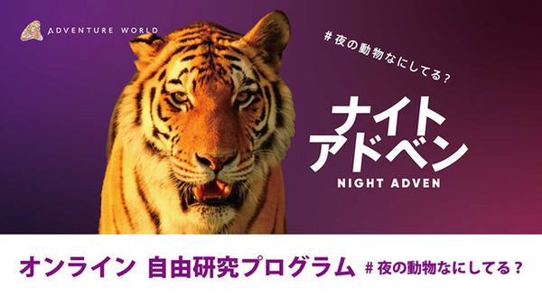 【夏休み2021】夜の動物テーマにオンラインで自由研究