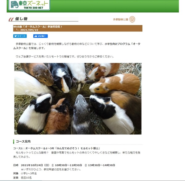 東京都多摩動物公園「オータムスクール」参加者募集