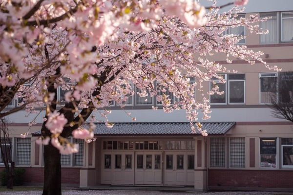 【中学受験2026】今年の人気校やねらい目校は？…過去問の売れ行き前年比較で探る注目校＜共学校編・後編＞ | リセマム