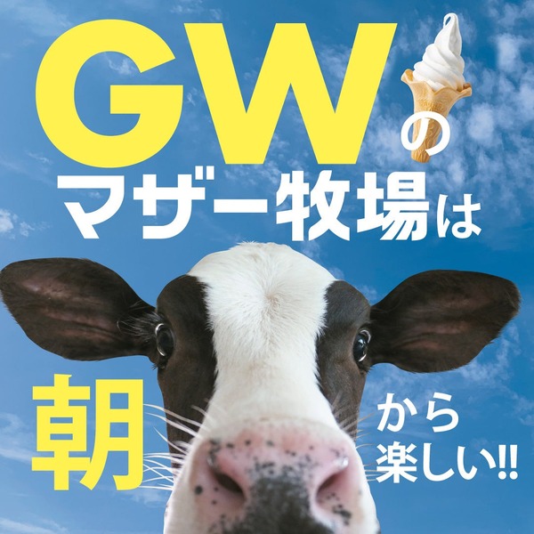 春の訪れを感じる！千葉マザー牧場の菜の花と羊の魅力