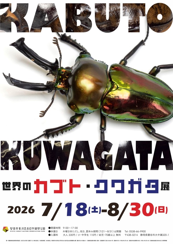 夏休み2026】約1,700種の標本展示「世界のカブト・クワガタ展」静岡