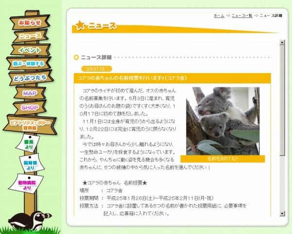埼玉 こども動物自然公園 コアラの赤ちゃんに名前を付けよう 1 26 2 11 リセマム