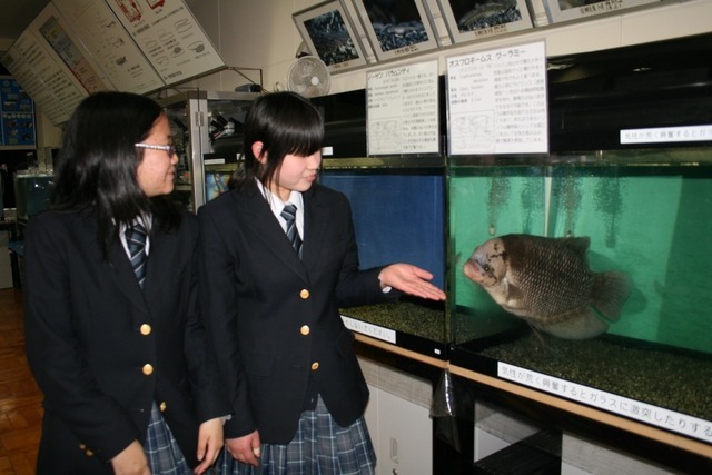 埼玉県立桶川西高校は校内に水族館を設け公開する活動で受賞した