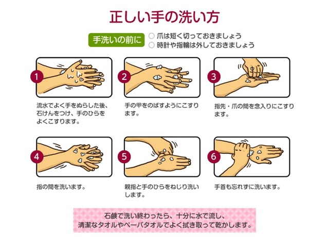 食事前に手を洗う人は約半数 正しいノロウィルス予防を解説 リセマム