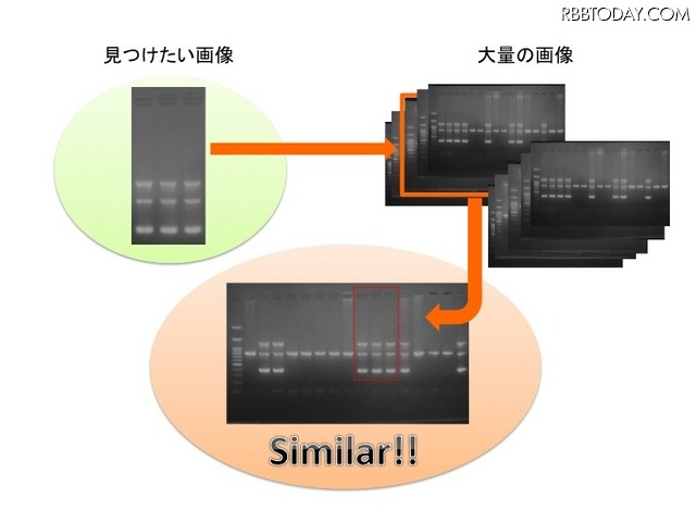 最近ではSTAP細胞などで一般にも学術論文画像の不正問題が社会問題として認知された。同社は東京大学出身の研究者が中心となって2014年に設立されたベンチャー企業で、研究用画像解析ソフトウェアの開発などを主な業務としている（画像はプレスリリースより）