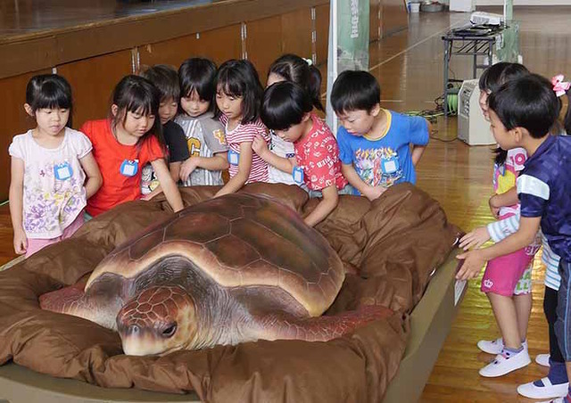 鴨シー「ウミガメ移動教室」千葉県内の学校対象に4/10より予約受付開始