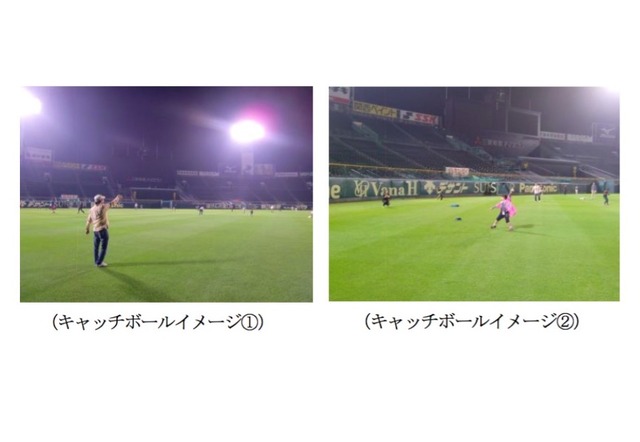 阪神甲子園球場でのキャッチボールのようす
