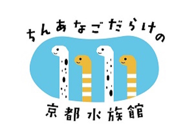 11 11は チンアナゴの日 京都水族館特別イベント 111匹を展示 リセマム