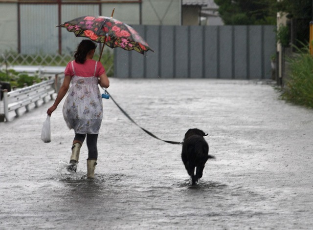 画像はイメージです　撮影日時や場所は本文と関係ありません(Photo by Buddhika Weerasinghe/Getty Images)