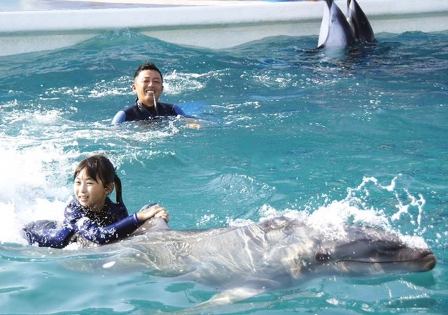鴨川シーワールド イルカと泳げる職業体験 小5 6年生募集 リセマム