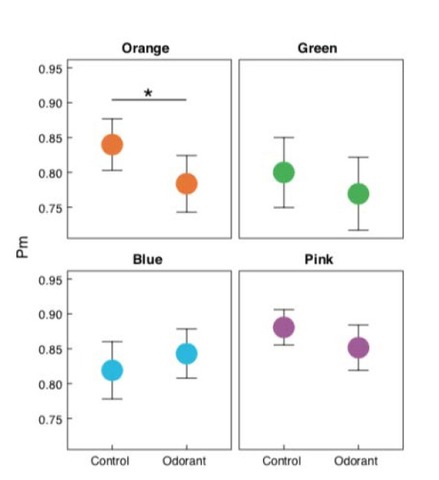 縦軸は記憶成績を示す。オレンジ色に対してのみ、無臭条件時（Control）より匂い条件時（Odorant）で記憶成績低下が見られた