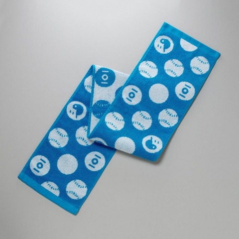 高校野球19夏 観戦に重宝 大会オフィシャルグッズ リセマム