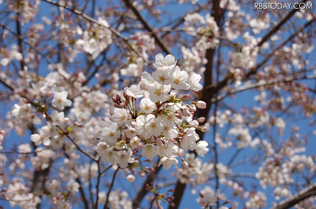 元町公園山手側