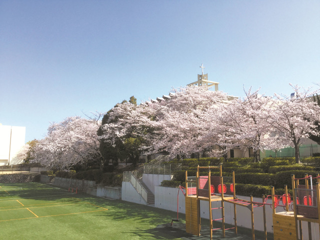 学校の風景