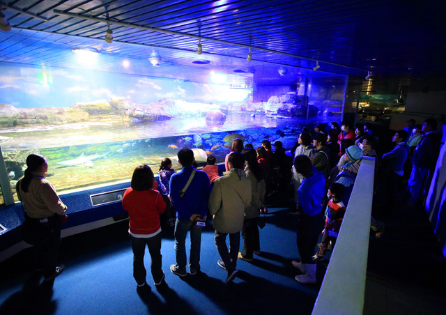 夏休み21 鴨川シーワールド 夜の水族館を探検する ナイトアドベンチャー 開催 リセマム