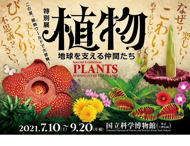 特別展「植物 地球を支える仲間たち」