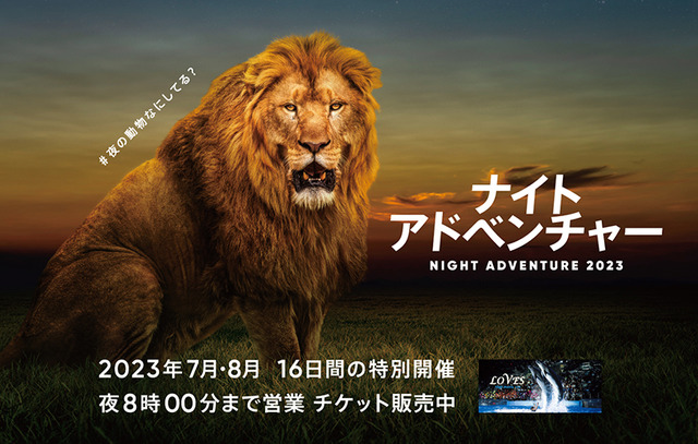 【夏休み2023】アドベンチャーワールド「NIGHT ADVENTURE2023」7-8月