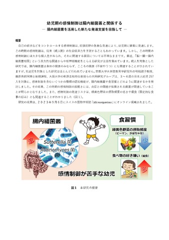 幼児期の感情制御は腸内細菌叢と関係する－ 腸内細菌叢を活用した新たな発達支援を目指して－1