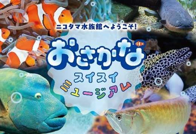 ニコタマ水族館へようこそ！おさかなスイスイミュージアム