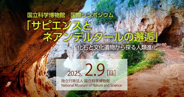 国際シンポジウム「サピエンスとネアンデルタールの邂逅：化石と文化遺物から探る人類進化」