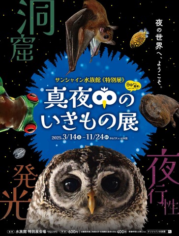 サンシャイン水族館 特別展「真夜中のいきもの展」