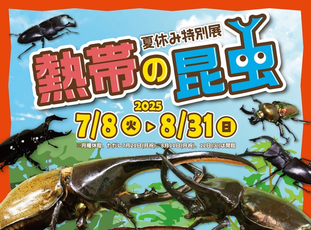 夏休み特別展「熱帯の昆虫2025」