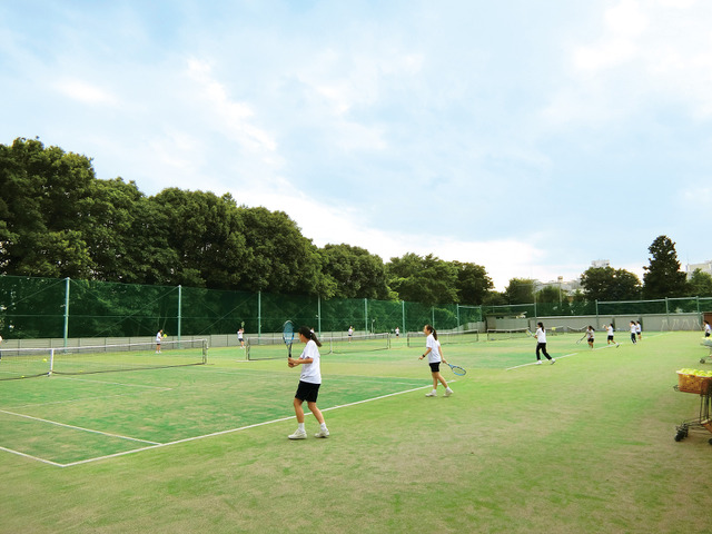 テニスコートは計10面のオムニコート