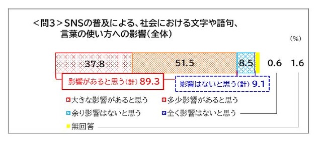 SNSの普及による、社会における文字や語句、言葉の使い方への影響