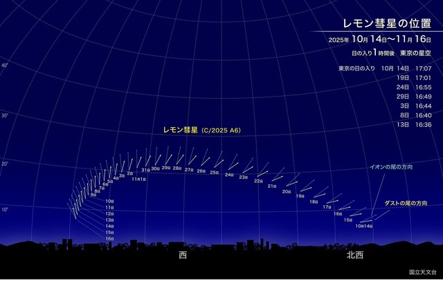レモン彗星の位置（2025年10月14日～11月16日）東京の星空