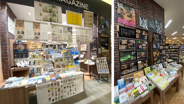 未来屋書店 北戸田店 2025年12月5日リニューアルオープン