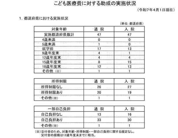 都道府県における実施状況