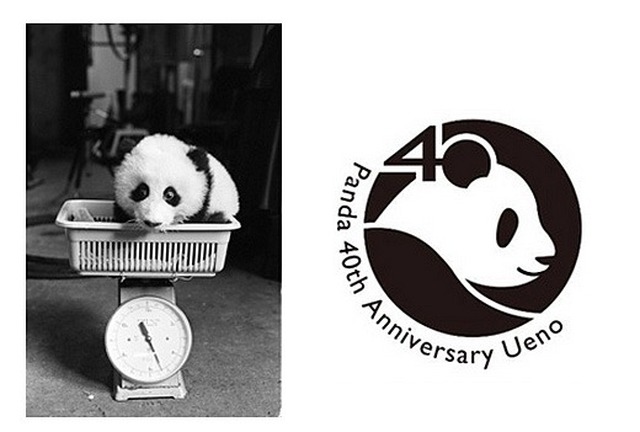 上野動物園「パンダの日 トーク＆クイズ」