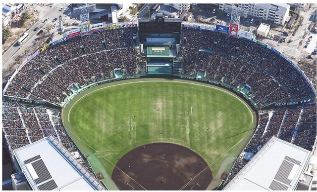 第98回選抜高等学校野球大会