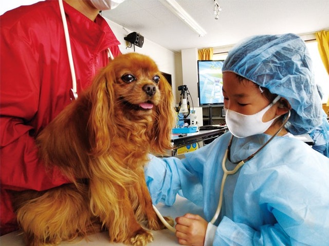 獣医さん体験スクール