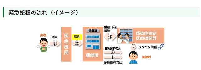 緊急接種の流れ（イメージ）