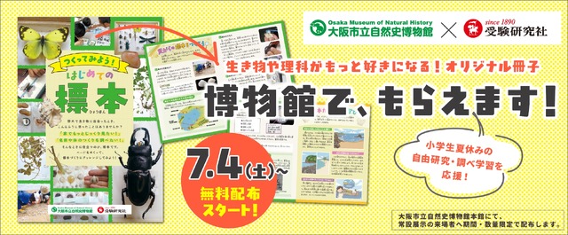 夏休みの自由研究・調べ学習を応援「つくってみよう！はじめての標本」無料冊子を配布
