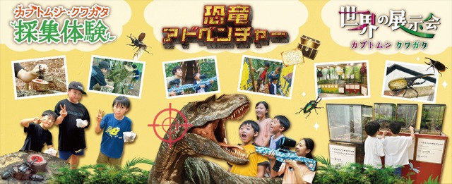 カブトムシ・クワガタイベントなど