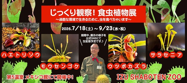 「じっくり観察！食虫植物展」