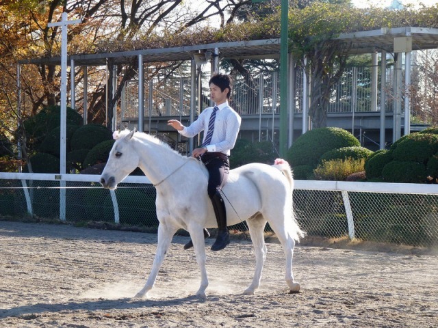 馬に親しむ日（12月開催時の様子）