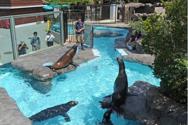 上野動物園など都立動物園 水族園で春休みイベント満載 リセマム