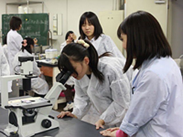 女子中高生対象 科学のマドンナ プロジェクト 東京理科大で実験体験 リセマム