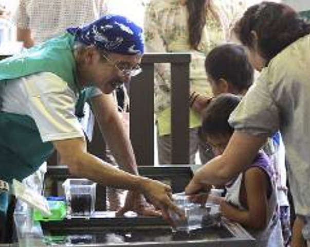 葛西臨海水族園・ボランティアーズDay（イメージ）