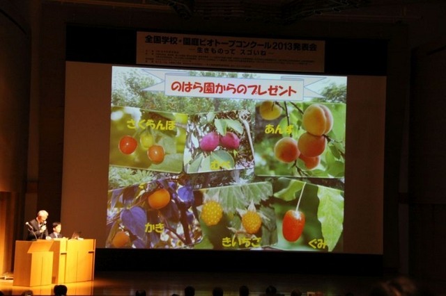 鹿児島県 錦が丘幼稚園の発表