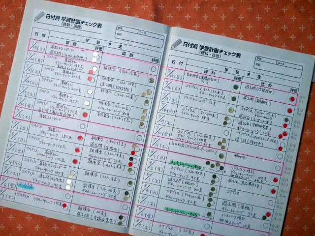 サピ卒母1年前 天王山はすぐそこ 夏休み学習スケジュール表の使い方 リセマム