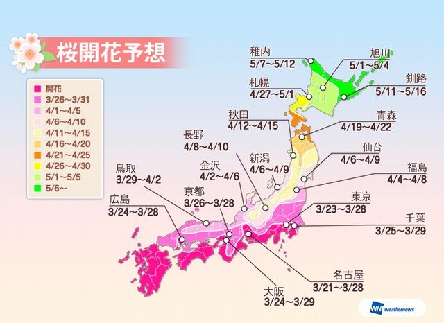 桜開花予想